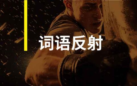 词语反射，消费者需求共鸣的新方法与新工具