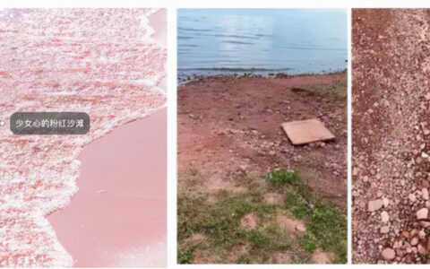 晓宇：小红书"媛媛"难从良 未来如何破局｜一视财经