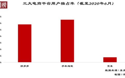 谢孤白：黄峥的一小步，拼多多慢了一大步丨市值榜