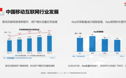 穿山甲市场经理洪叶：APP商业化新增长
