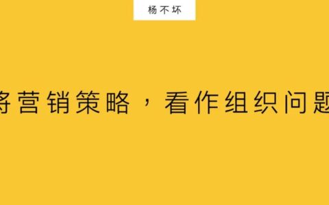 杨不坏：将营销策略，看作组织问题