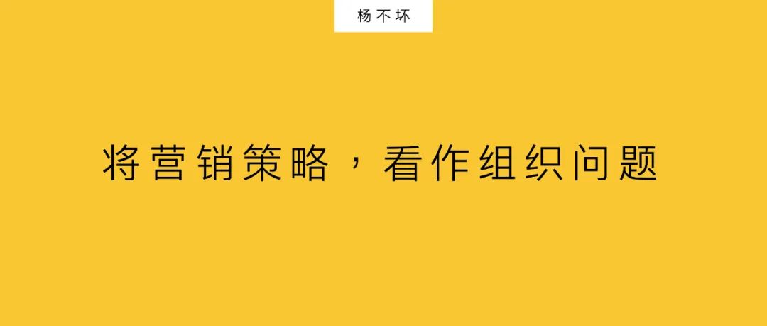 杨不坏：将营销策略，看作组织问题