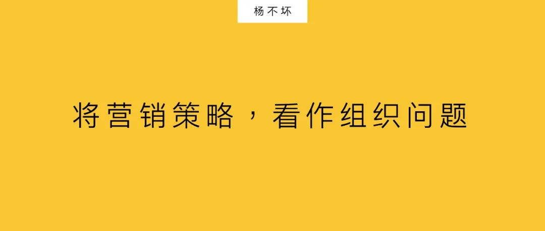 杨不坏：将营销策略，看作组织问题