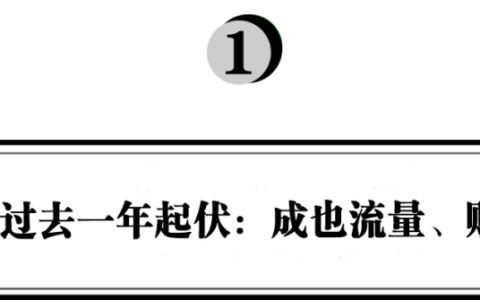 琢石资本合伙人王勇：新品牌为何“成也流量，败也流量”｜浪潮新消费
