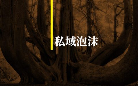 私域，越吹越大的泡沫哪天破