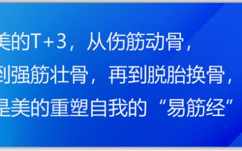 美的全价值链的运营模式：T+3
