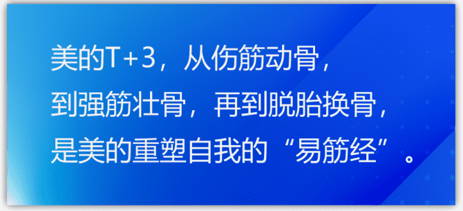 新知达人, T+3,美的“易筋经”