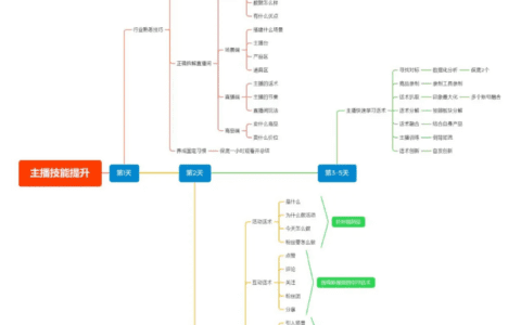 尹晨：带了100+主播的经验总结