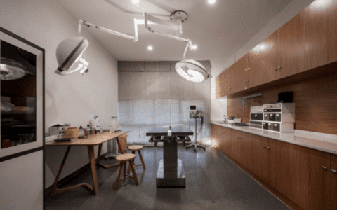 宠物经济的AB面｜银杏财经