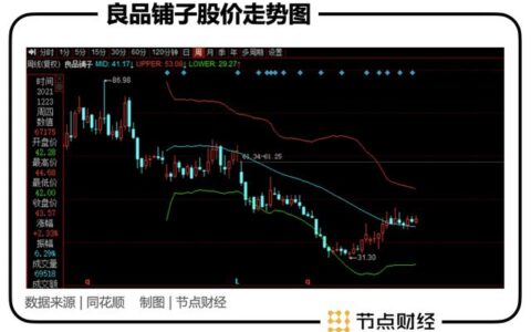 三生：从高端到高估值，良品铺子还差什么 | 节点财经