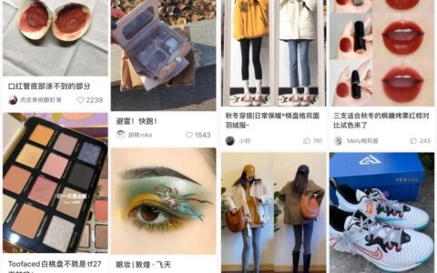 于松叶：小红书的算法之疾｜ 新熵