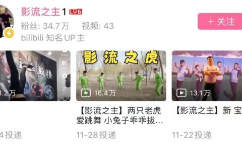 单月B站涨粉70万，为什么人人都爱小丑梗｜新榜