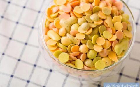 窝小芽难过家长关