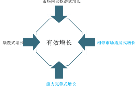 蔡春华：企业有效增长的四种方式