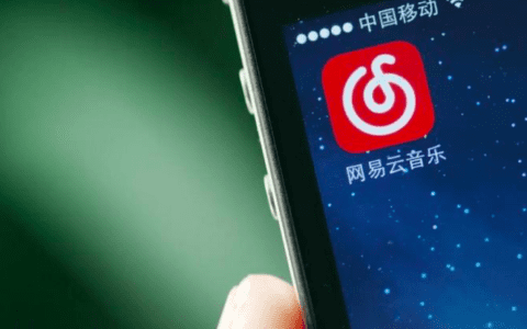 当小情调“摸鱼”撞上资本,网易云音乐何去何从?