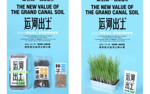 文创跨界：从限量款，到日常款｜杨不坏