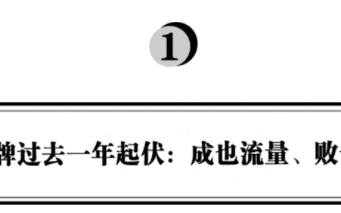 琢石资本合伙人王勇：新品牌为何“成也流量，败也流量”？