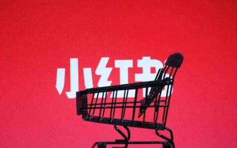 站在分岔路口的小红书