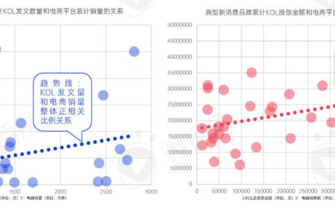 新消费品牌KOL营销的六大成功定律|微播易研究报告