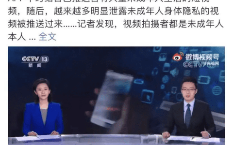 美至简科技创始人甄妙：小红书，不红了