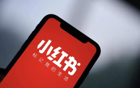 李未泯：小红书“手撕”代写平台