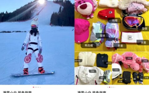 黄梦婷：冰雪盛会，小红书如何做「滑雪种草」