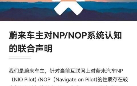 于松叶：新能源汽车们的饭圈魔咒｜新熵