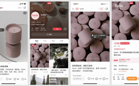 小红书架构调整：社区与电商部合并，COO柯南负责电商