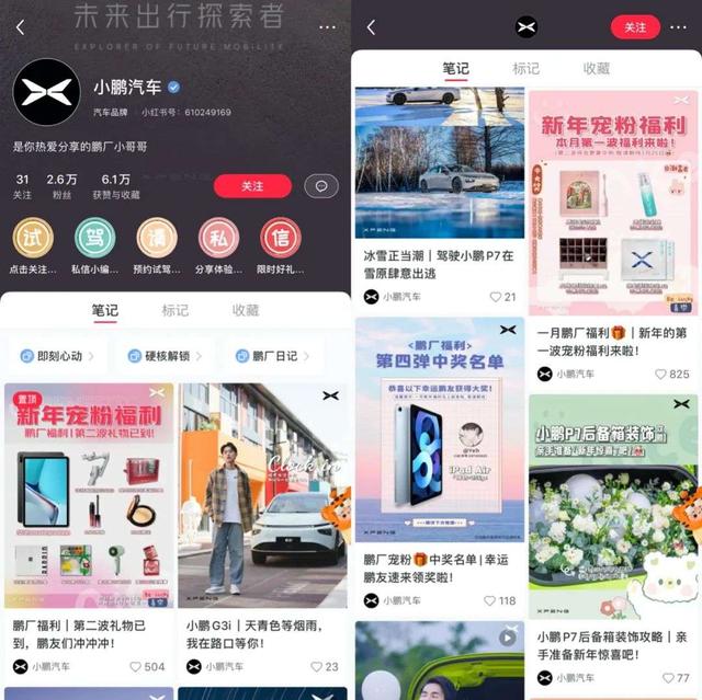于松叶：新能源汽车们的饭圈魔咒｜新熵