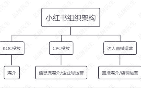 如何搭建小红书&快手团队，让新品牌月销突破1000万？