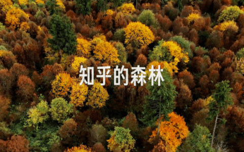 被低估的知乎：内容高地上的商业新生态