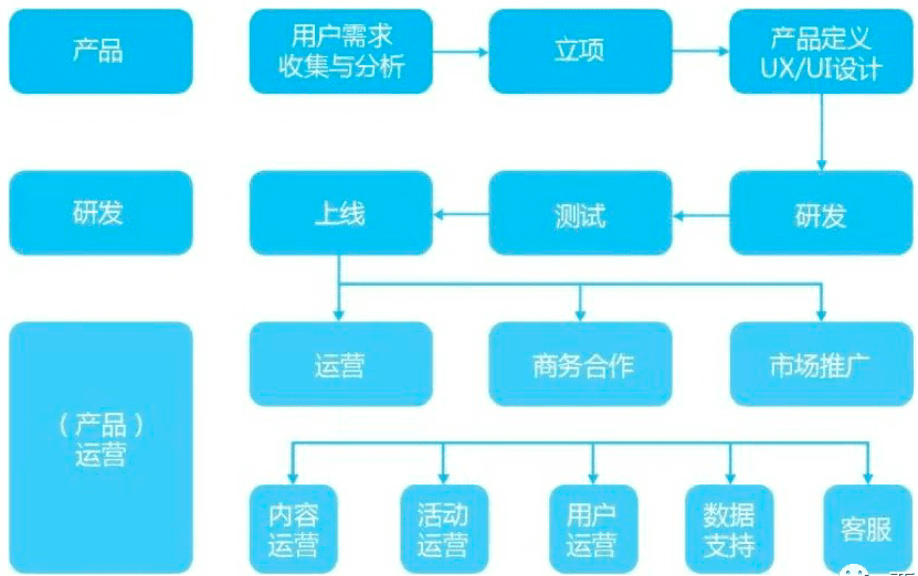 运营人职场定位指南|西欧欧