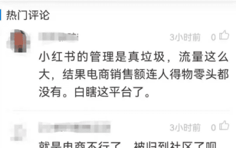 小红书，会种草，不会卖货