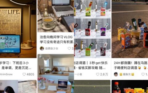 翟文婷：小红书为何存在认知夹角？