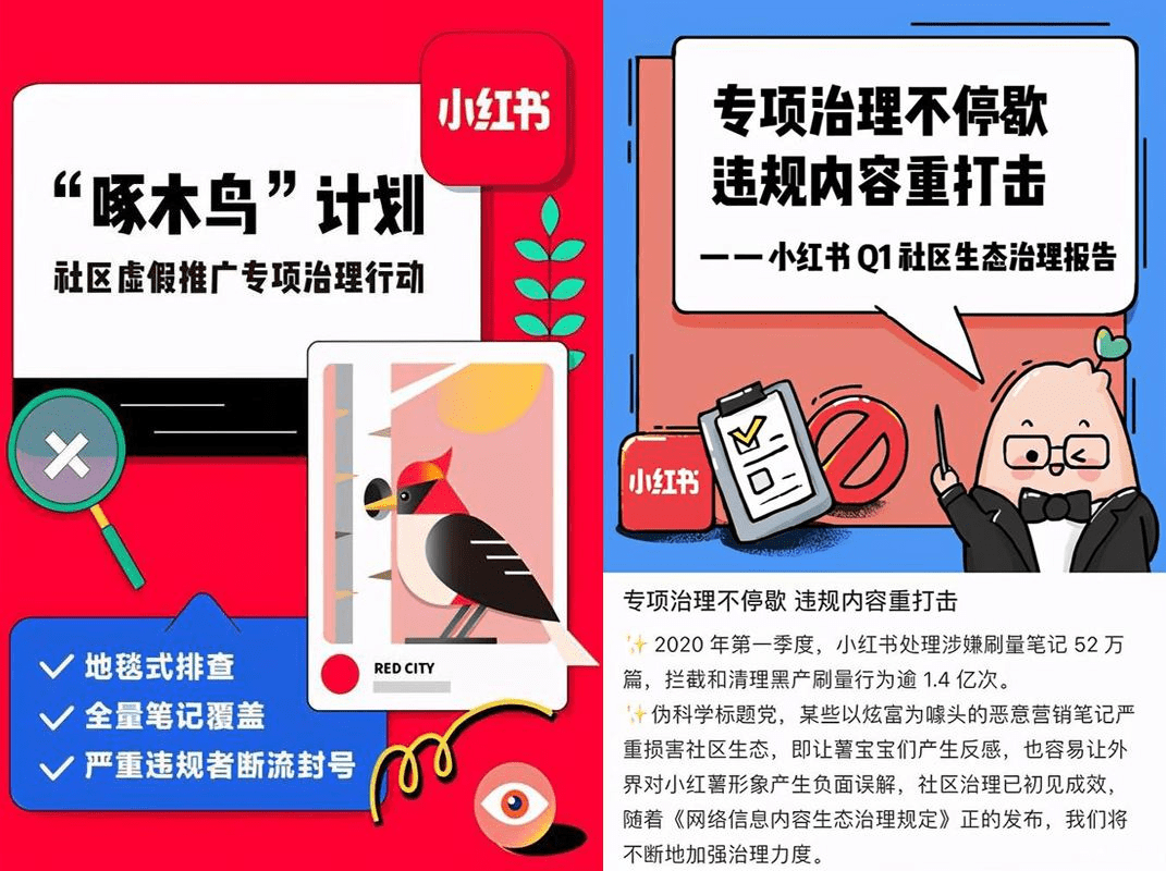 任彤瑶：小红书流量都被薅走了｜远川商业评论