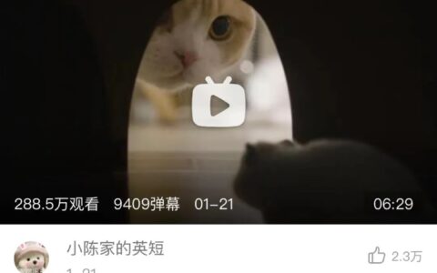 B站恰饭生态——如何在四方利益的钢丝上行走｜卫夕指北