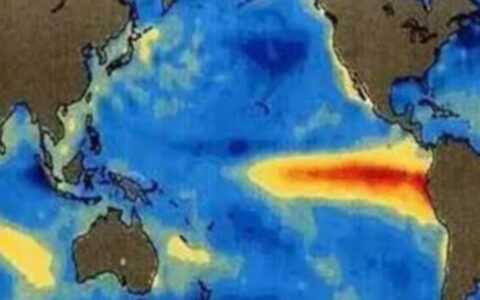 论“新新闻”观念的基本内涵、生成逻辑与实践价值