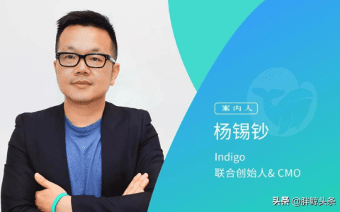 Indigo杨锡钞：汽车&科技品牌如何从小红书、知乎、B站中跑出来