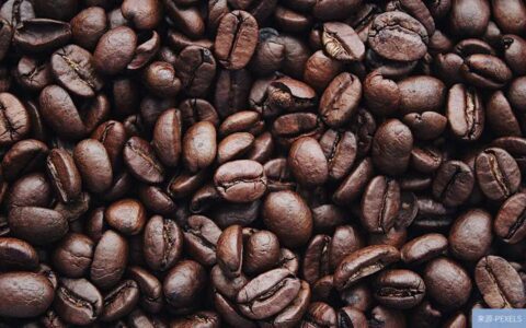 三顿半、永璞、时萃，谁能成为下一个咖啡品类之王？