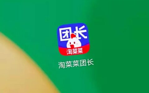 大钊：淘菜菜的合理性与逆袭之路｜ 智瑾财经