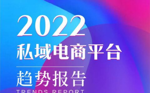 《2022 私域电商平台趋势报告》发布，私域中能否诞生下一个天猫 | 新浪潮研究院