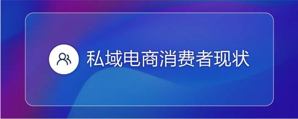 《2022 私域电商平台趋势报告》发布，私域中能否诞生下一个天猫 | 新浪潮研究院