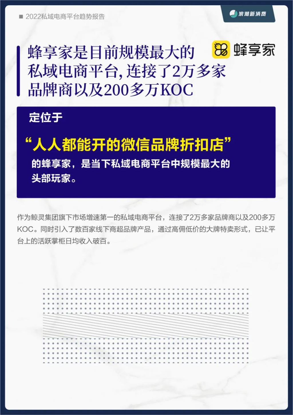 《2022 私域电商平台趋势报告》发布，私域中能否诞生下一个天猫 | 新浪潮研究院