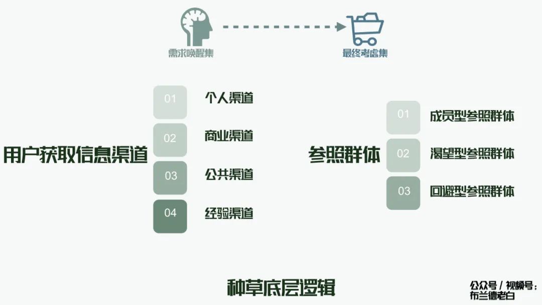 万字梳理品牌小红书种草割草指南｜布兰德老白