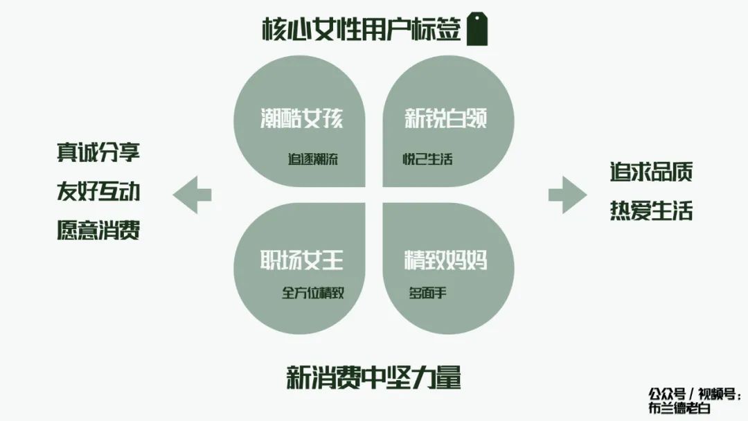 万字梳理品牌小红书种草割草指南｜布兰德老白