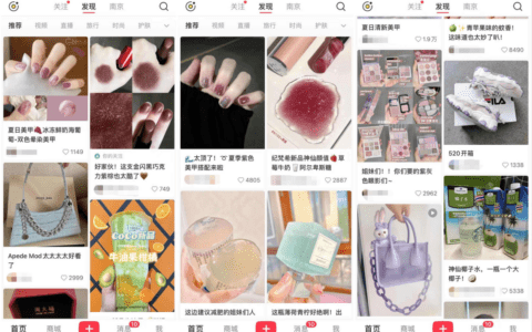 叶蓁：大厂围攻，频频转向，小红书的困境谁能解｜深眸财经