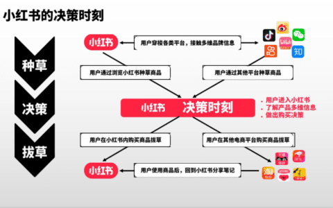 小红书专业号·种草营销新阵地