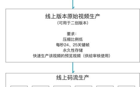 一条视频的前世今生——视频生产系统｜薛慧卿