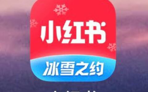 于小鱼：浅析超级独角兽小红书的发展进程