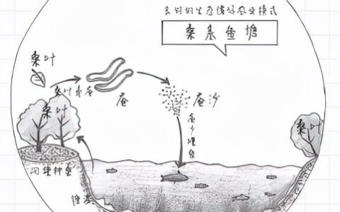 《精进2》之对循环的思考